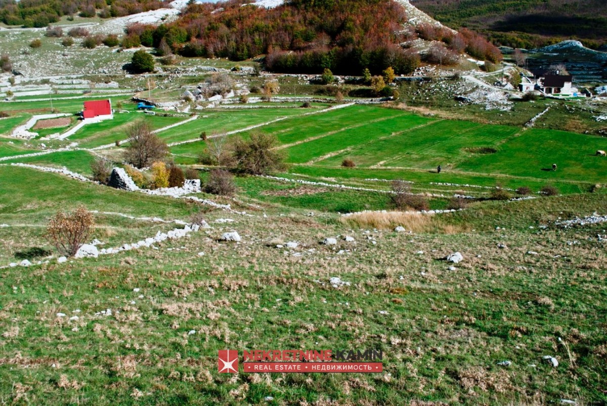 Prodaje se plac površine 4307 m² smješten u srcu Nacionalnog parka Lovćen